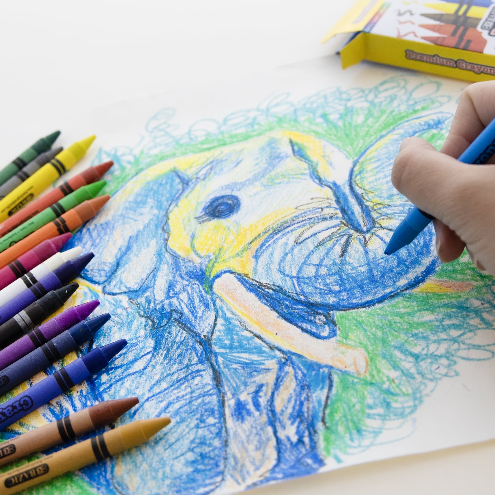 BAZIC Crayons 16-Count, Non Toxic Drawing Crayon (16/Pack), 1-Pack