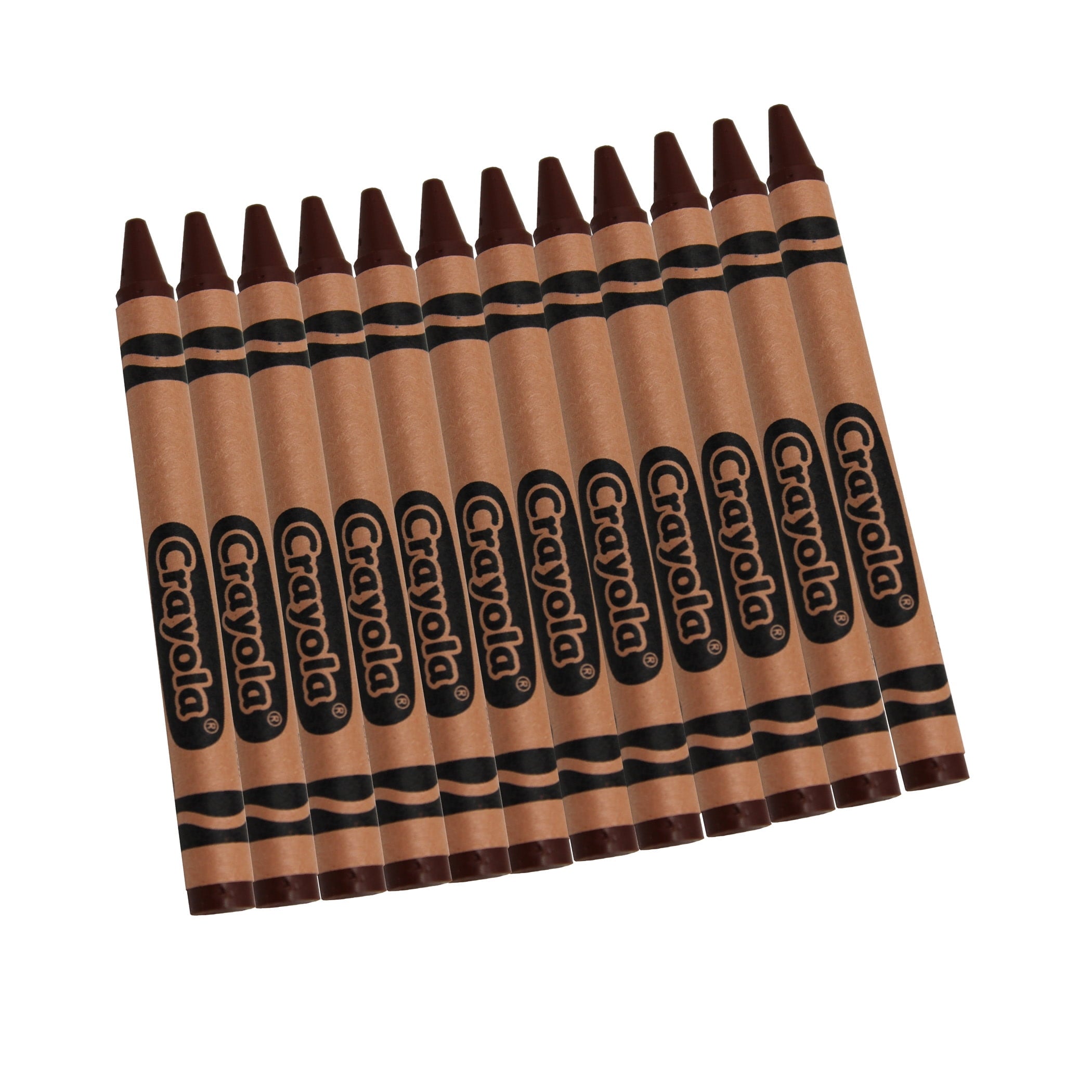 Crayola Bulk Crayons, Brown, Regular Size, 12 Per Box, 12 Boxes